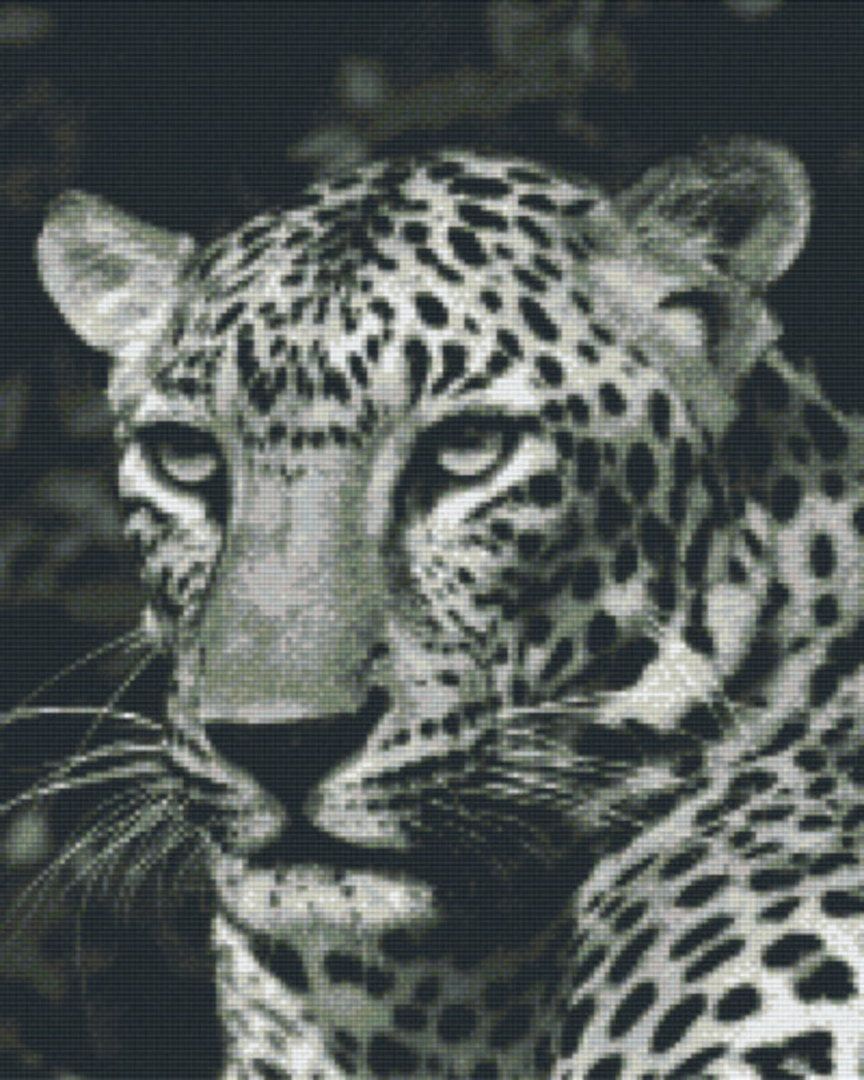 Black And White Leopard Sixteen [16] Baseplate PixelHobby Mini-mosaic Art Kit image 0